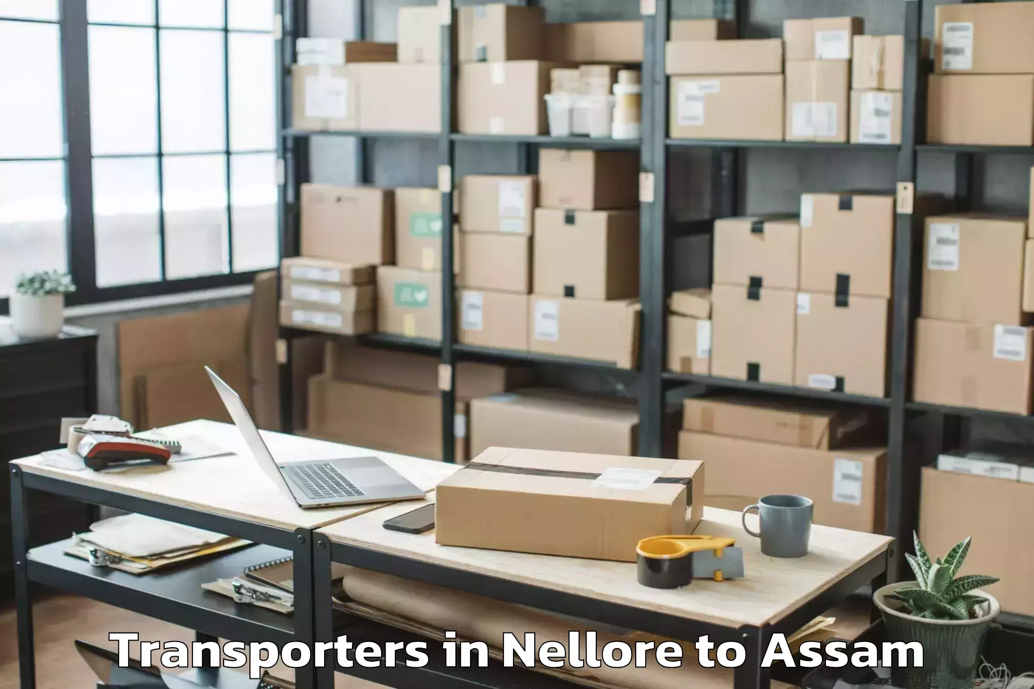 Book Nellore to Morigaon Transporters Online